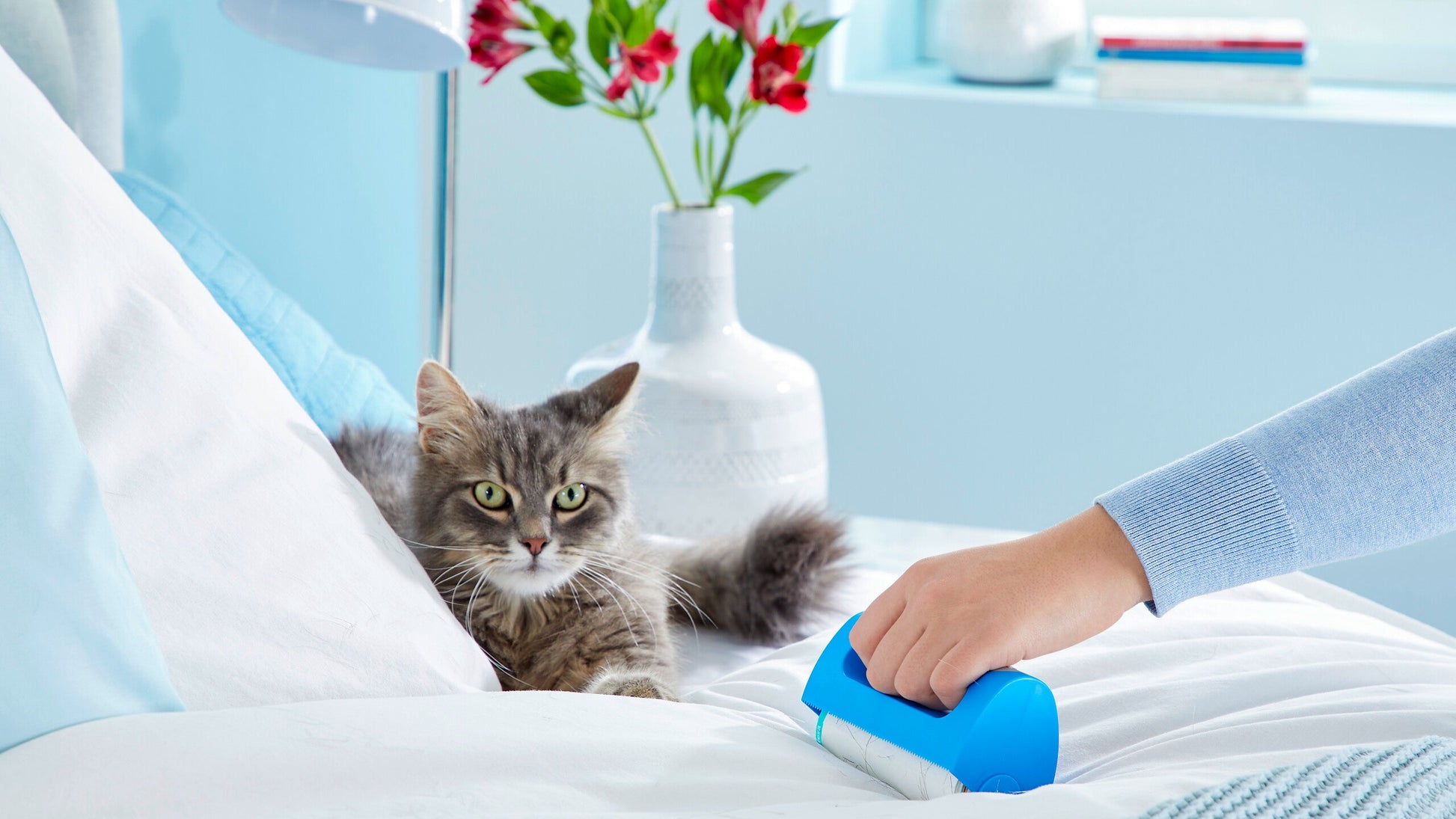 tesa® 56511  - lint-remover-household ap 002.jpg