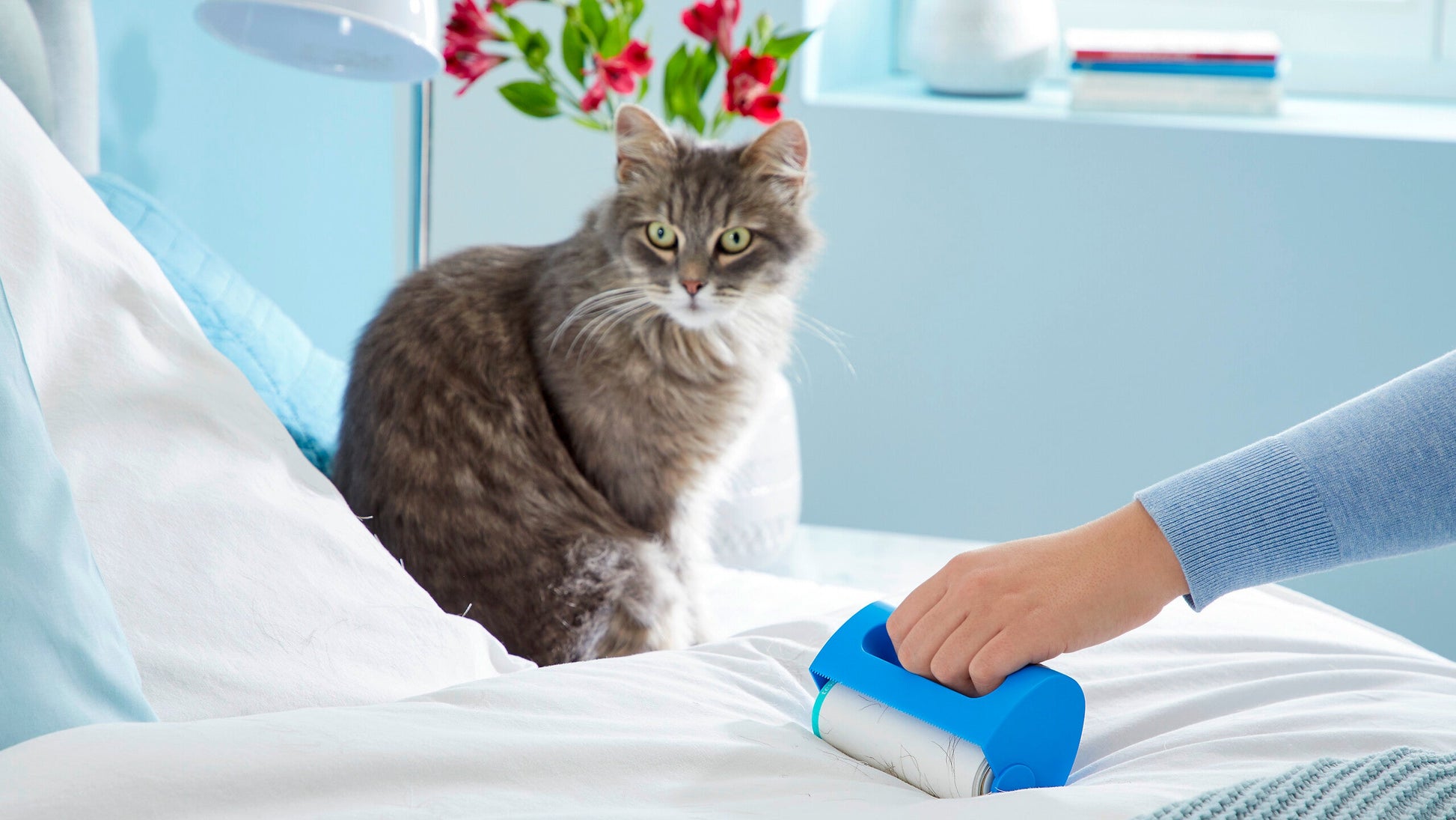 tesa® 56511  - lint-remover-household ap 003.jpg