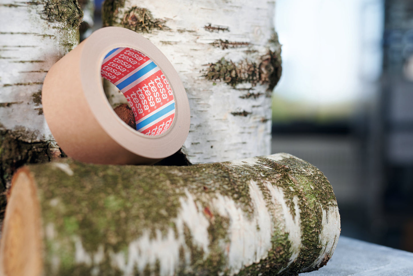 tesa® 4713 tesa® 4713 – CST with Paper from Responsible Sources - tesa-4713-cst-with-paper-from-sustainable-sources-010-ap.jpg