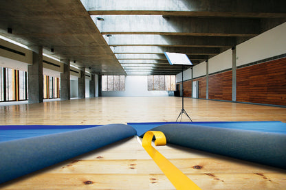 tesa® 51960 Carpet laying tape for professional users - removable - - tesa 04964 ap 001.jpg